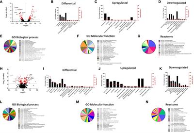 Keratinocyte-derived small extracellular vesicles supply antigens for CD1a-resticted T cells and promote their type 2 bias in the context of filaggrin insufficiency